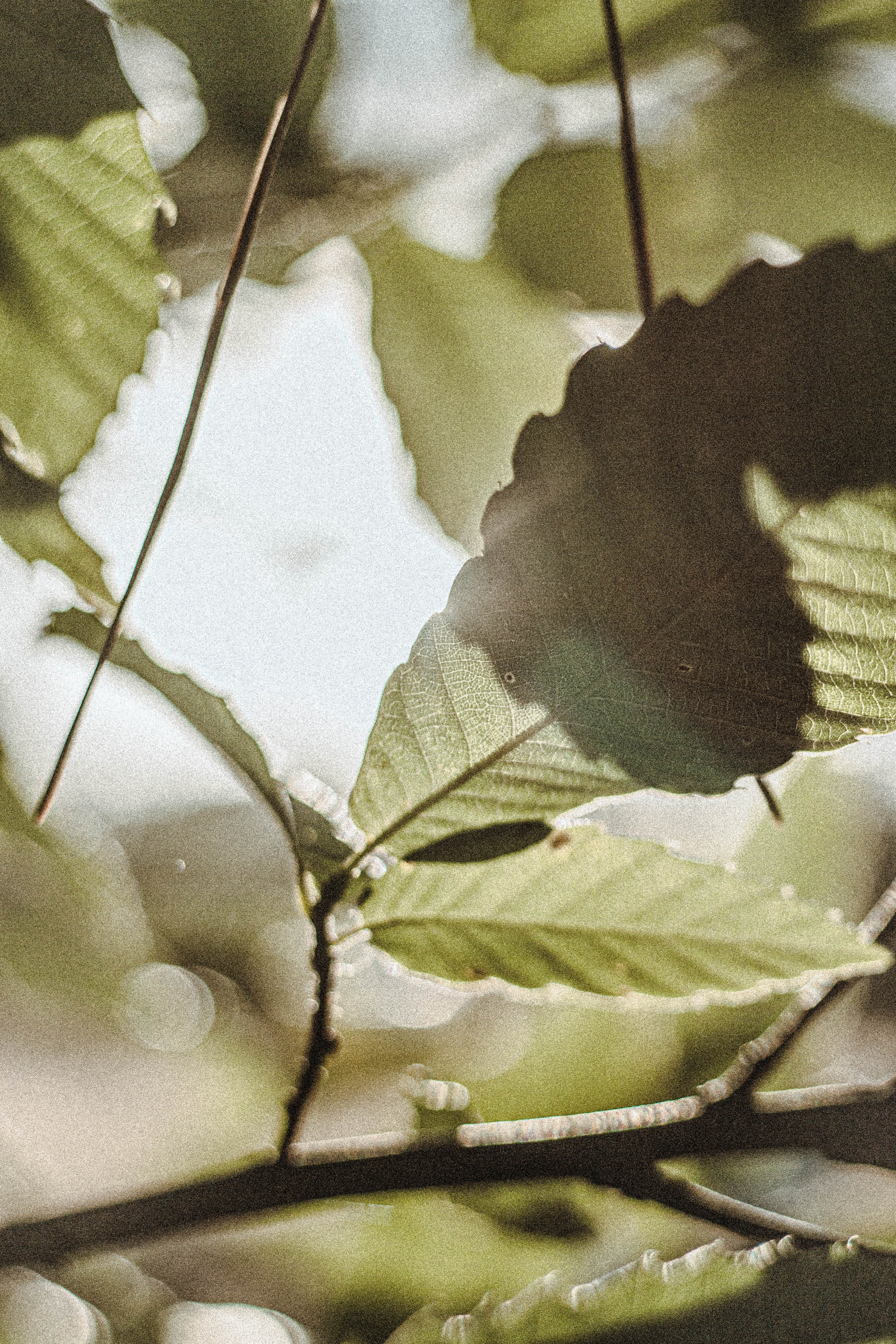 02D5BC50-5E00-4A73-B2F9-60F29091FB62_19b550ca-2793-4dc2-927b-549443e7388a.jpg